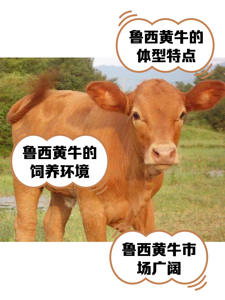 晋中最新医保取现黄牛方法分析(最方便真实的晋中医保取现黄牛怎么取方法)